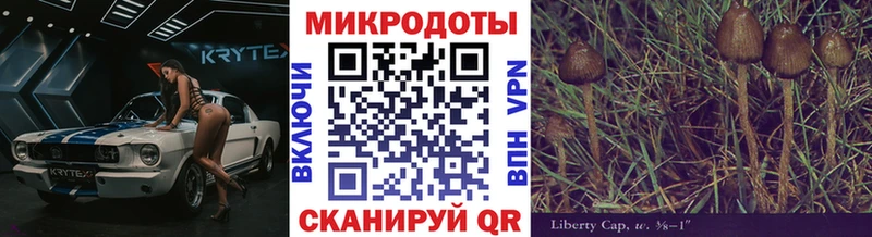 это как зайти  Лермонтов  Псилоцибиновые грибы ЛСД 